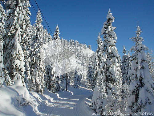 Image of cross-country skiing view