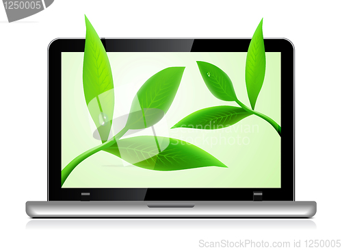 Image of Laptop with leaves on white background