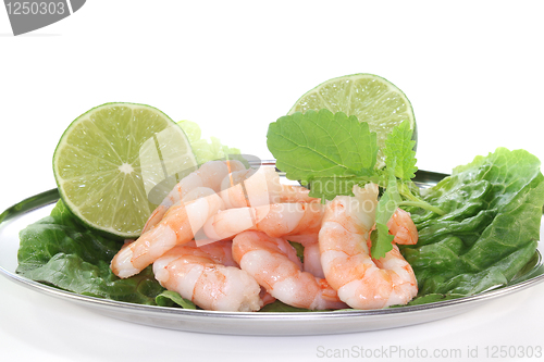 Image of Prawns