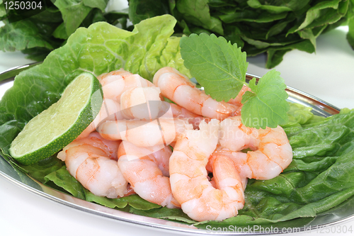 Image of Prawns