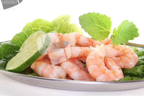 Image of Prawns