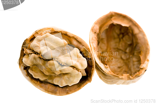 Image of Walnut