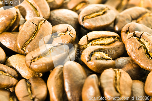 Image of Coffee grains