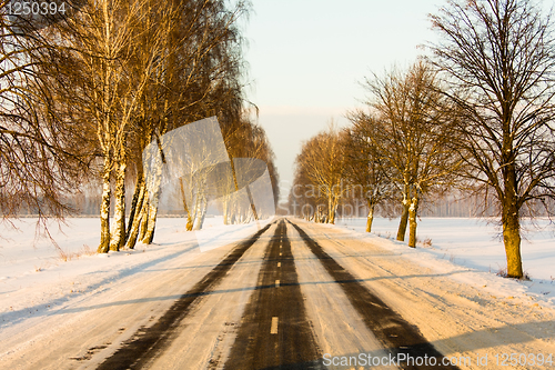 Image of Winter road