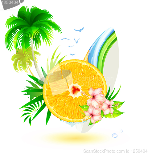 Image of Summer  background