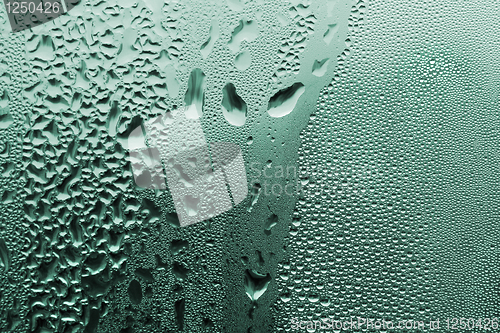 Image of green water drop texture