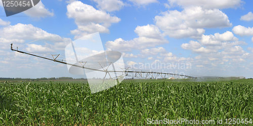 Image of irrigation system for agriculture