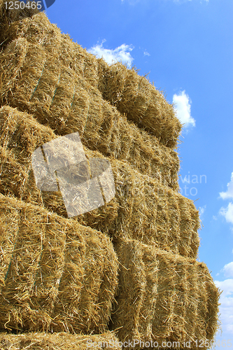 Image of haystack