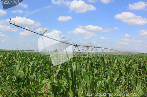 Image of irrigation system for agriculture