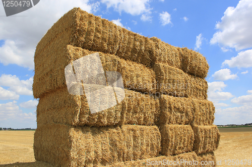 Image of haystack