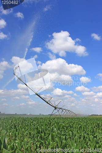 Image of irrigation system for agriculture