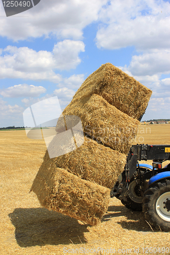 Image of haystack