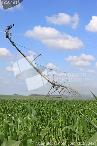 Image of irrigation system for agriculture