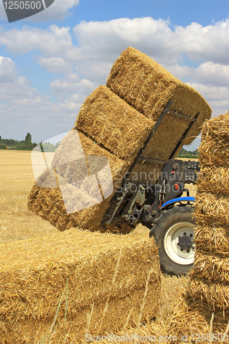 Image of haystack