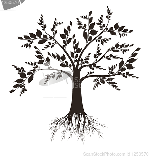 Image of Art tree silhouette