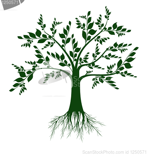 Image of Art tree silhouette
