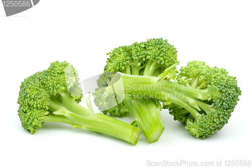 Image of Three broccoli pieces