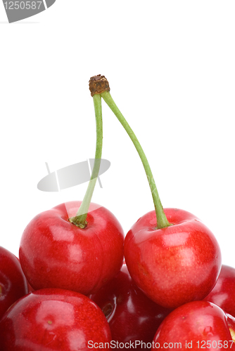 Image of Red cherries