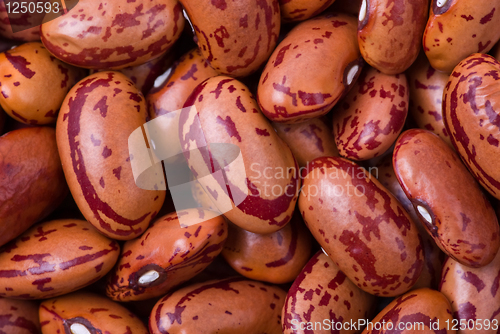 Image of Spotty red haricot beans macro