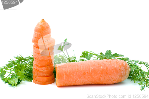 Image of Half of ripe fresh carrot and slices and some parsley