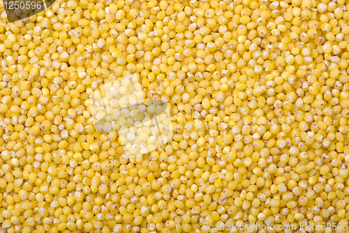 Image of Raw millet