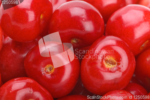 Image of Red cherries without stalks