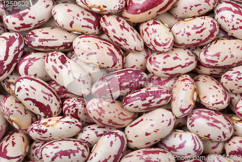 Image of Spotty white-red haricot beans (macro)