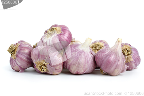 Image of Garlic heads