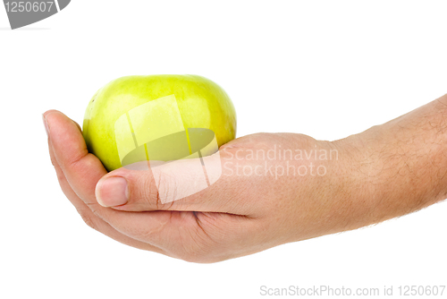 Image of Green apple in hand