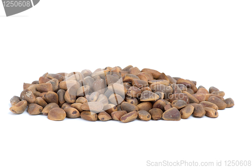 Image of Small pile of cedar nuts