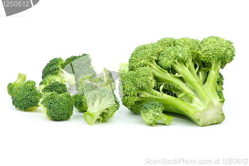 Image of One big and few small broccoli pieces
