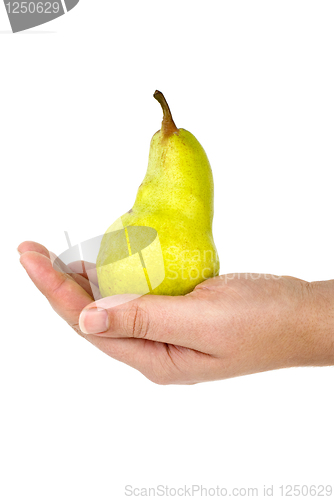 Image of Palm holding green pear