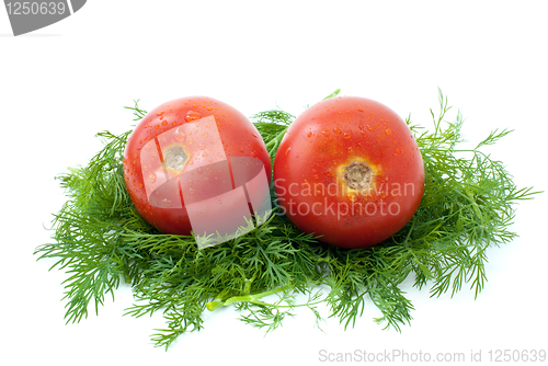 Image of Pair of  tomatoes over some dill