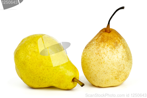 Image of Two pears