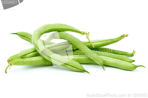 Image of Small pile of green bean pods