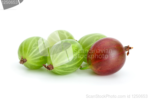 Image of Some green and red gooseberries