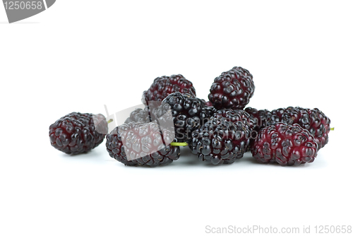 Image of Few black mulberries