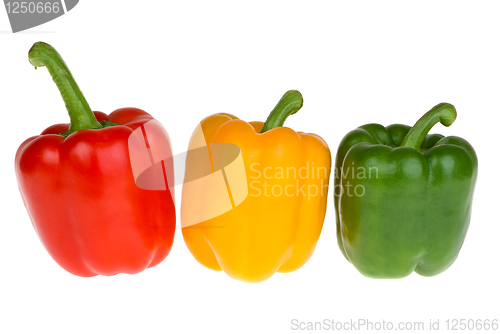 Image of Red, yellow and green bell peppers