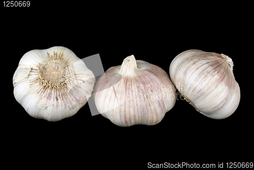 Image of Some garlic