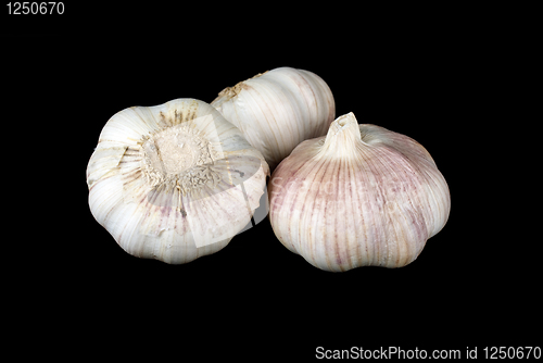 Image of Three garlics