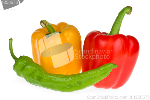 Image of Bell and chili peppers