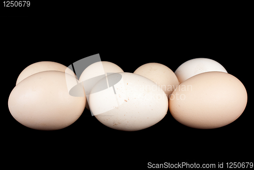 Image of Few chicken eggs