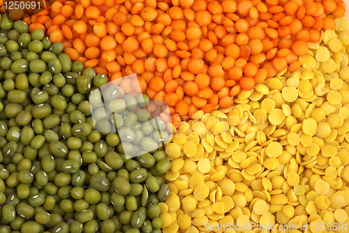 Image of Yellow split, red "football" lentils and green mung beans