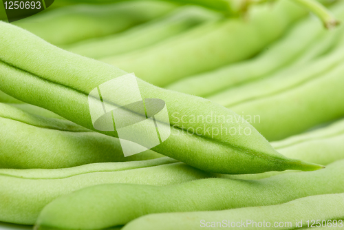 Image of Close-up shot of green bean pods