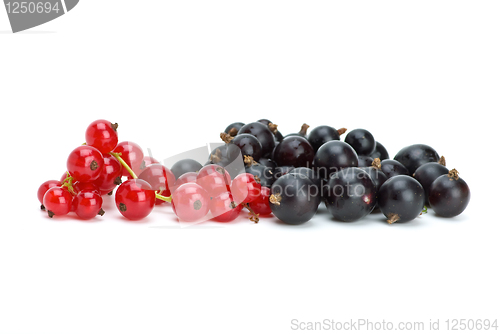 Image of Some blackcurrants and redcurrants berries