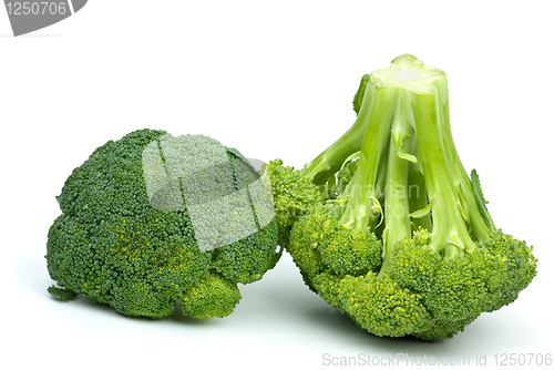 Image of Two broccoli pieces 