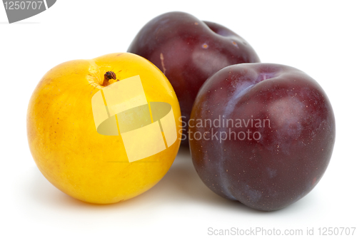 Image of Two violet plums and one yellow