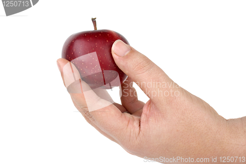 Image of Hand holding small red apple