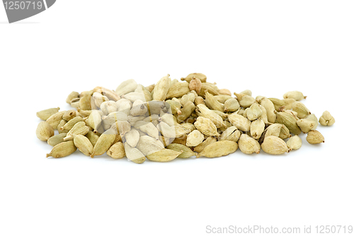 Image of Small pile of cardamon spice