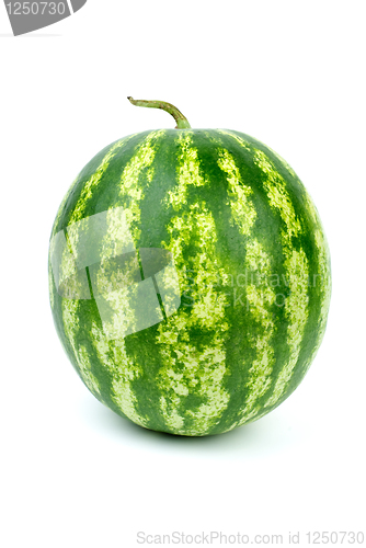 Image of Stripy green watermelon